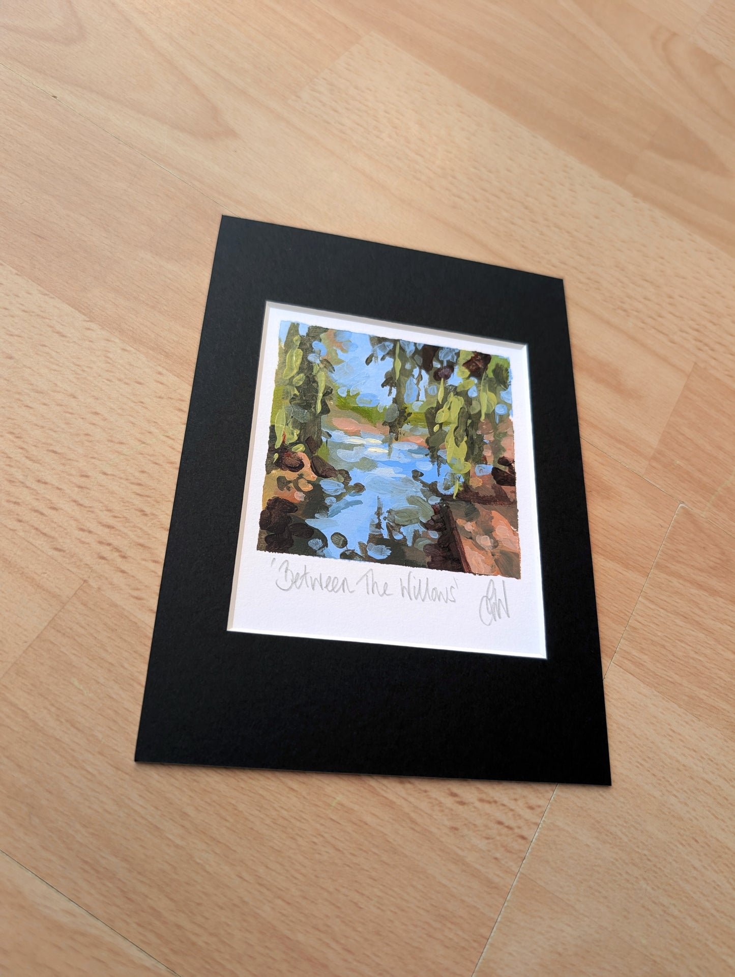 Snapshot 'Between The Willows'