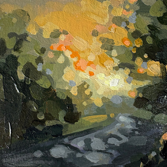 #17 Snapshot 'New Dawn'