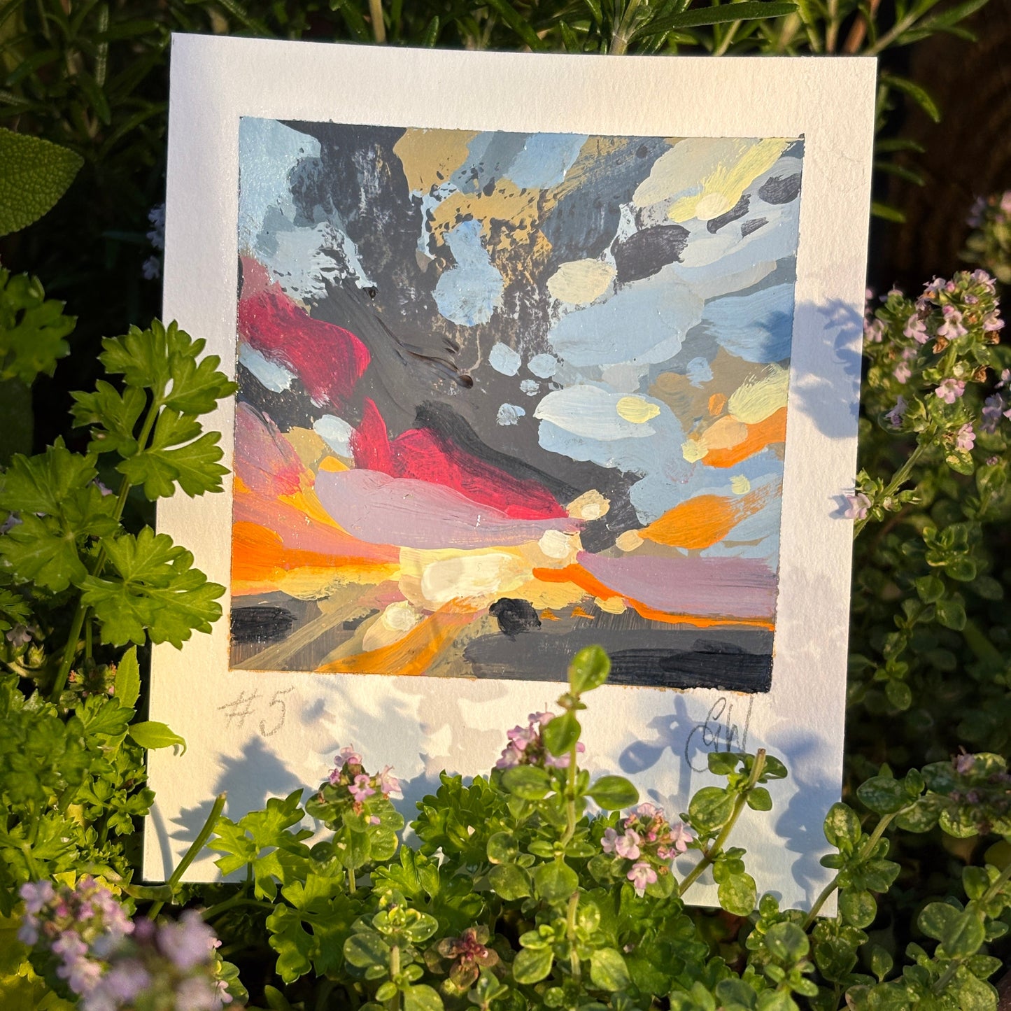 #28 Snapshot "Dream Echo'