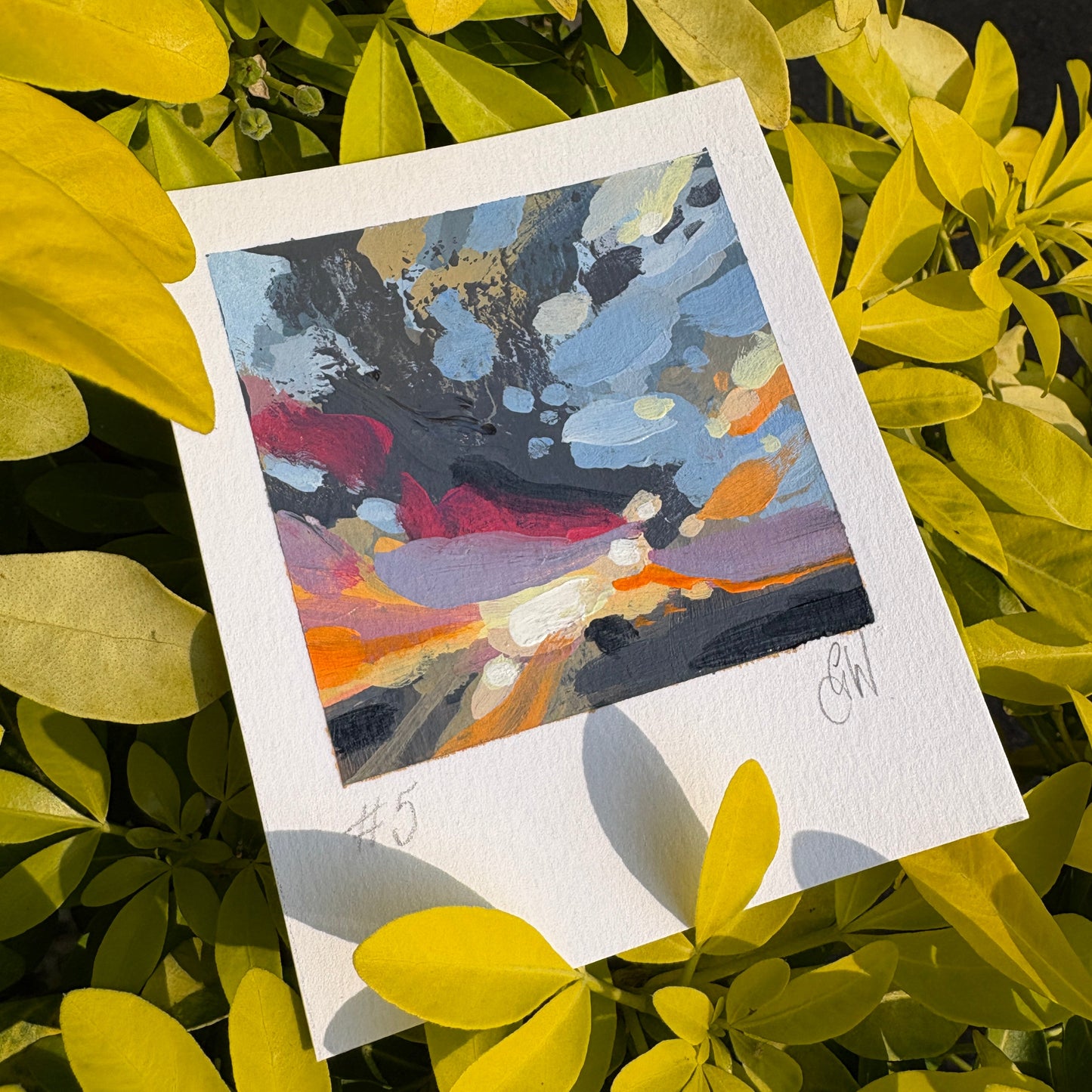 #28 Snapshot "Dream Echo'