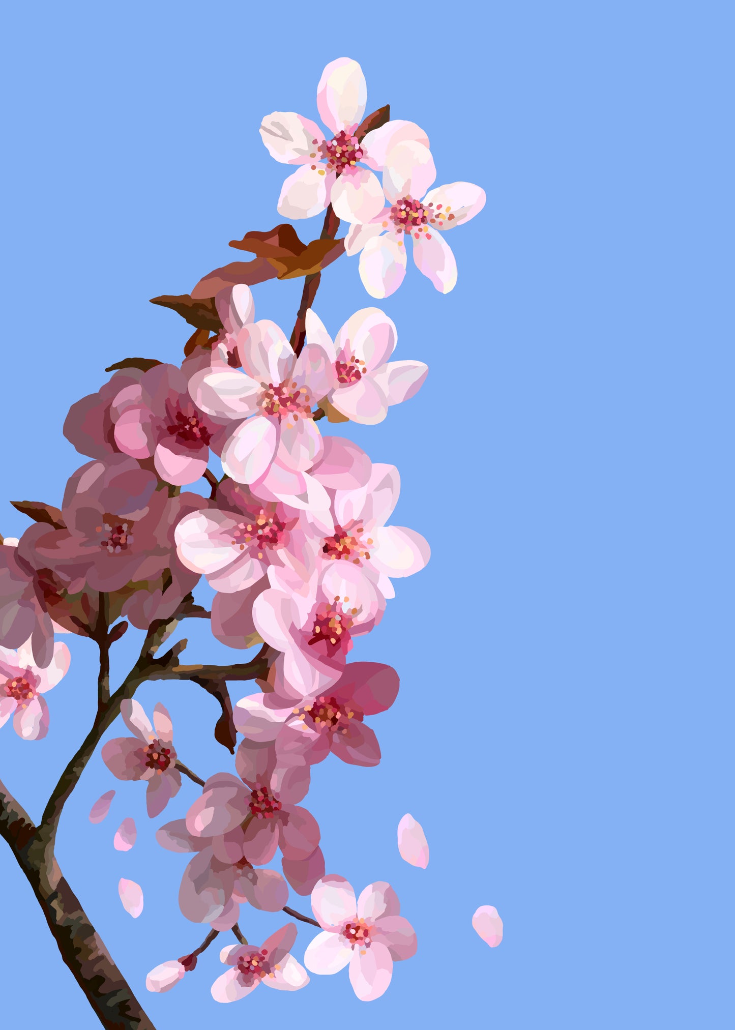 Cherry Blossom Art Print