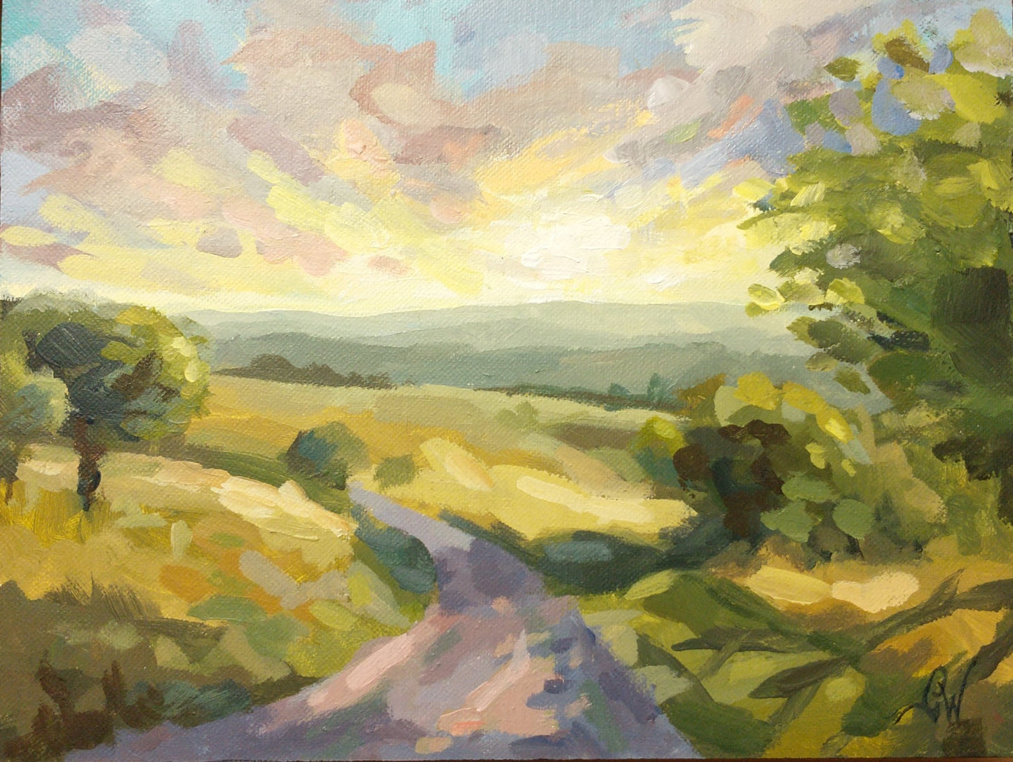 English fields