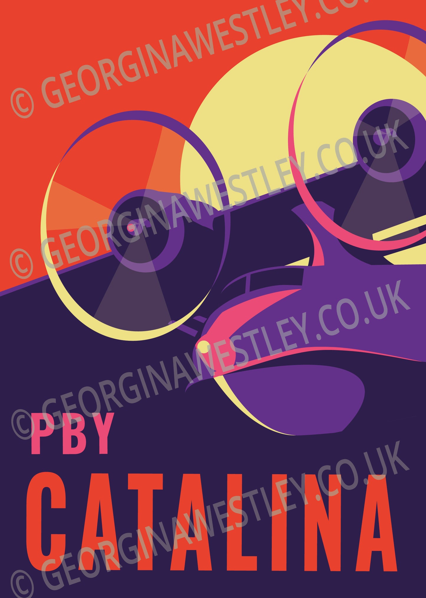 PBY Catalina