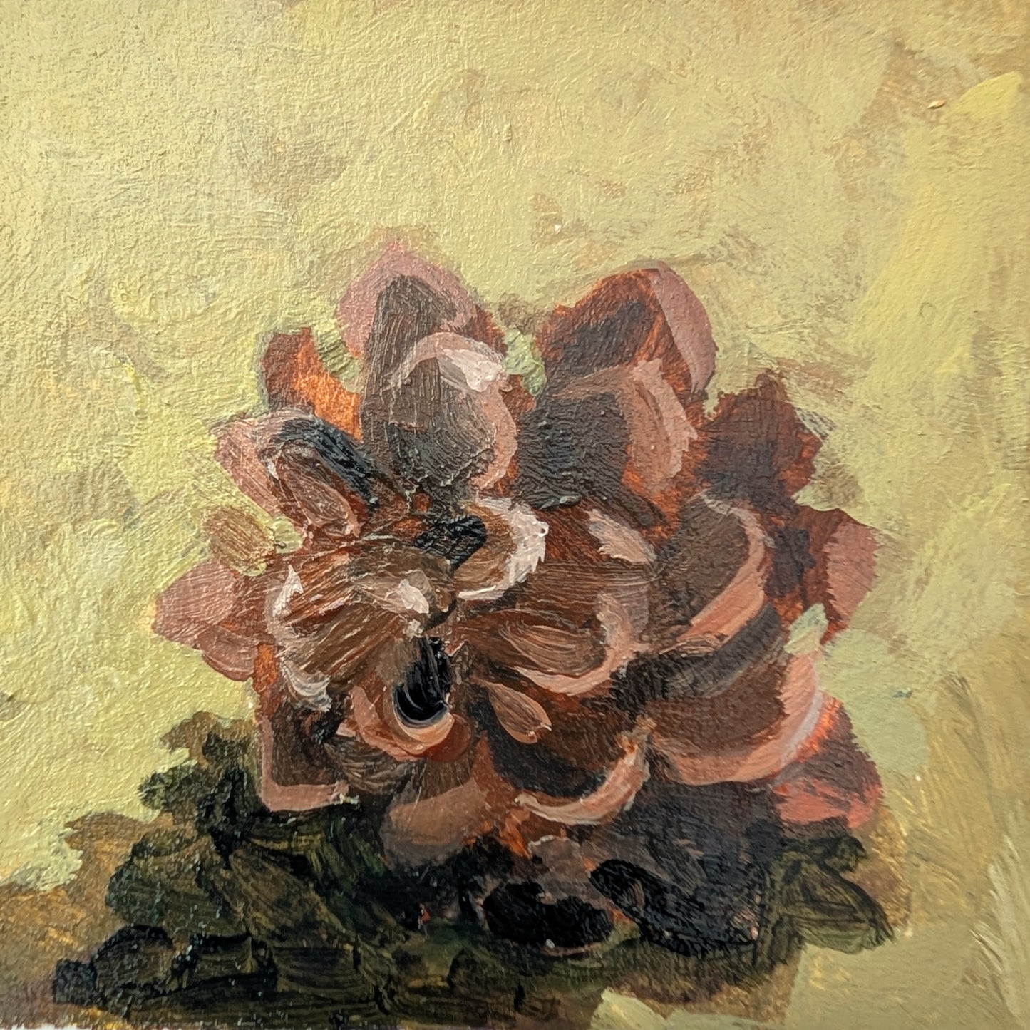 Snapshot 'Pine Cone'